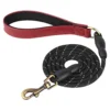BFE4DF760735ED9361785AC997A3E55B.webp Personalized PU Leather Dog Collar Set