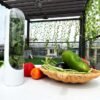 H3735b2dced9b42a9921f9908cc83d1fef.jpg_720x720q50.jpg Vegetable Storage Containers with Water Base