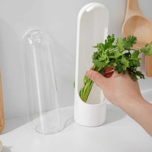 H6d599afe98fe4afe82bada7da5262a1ci.jpg_720x720q50.jpg Vegetable Storage Containers with Water Base